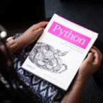 Bvostfus Python