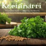 Koriandri