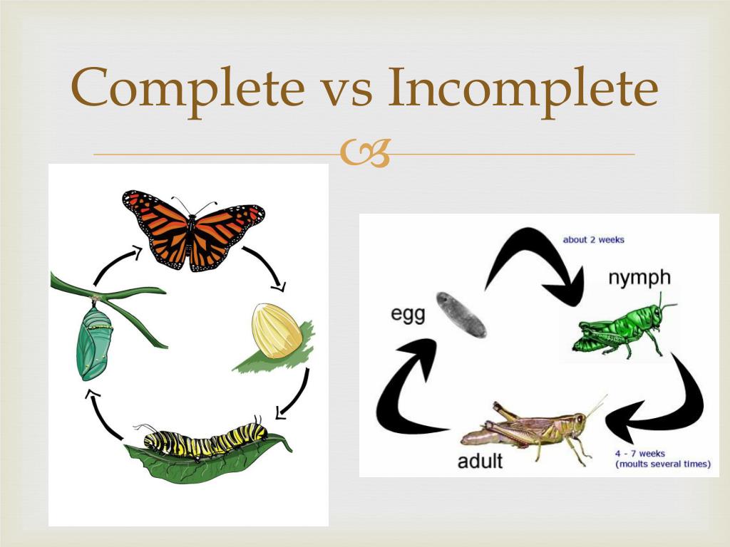 Incomplete vs. Uncomplete